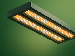 Vollspektrum-LEDs
