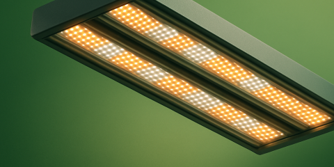 Vollspektrum-LEDs